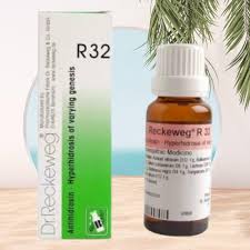 Dr. Reckeweg R32 Hyperhydrosis Of verying genesis / অত্যাধিক ঘামের ড্রপস 22ml