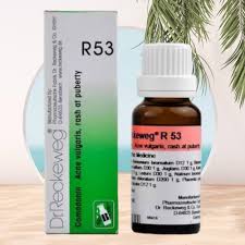 Dr. Reckeweg R53 Acne vulgaris, Rash at Puberty Drops 22ml