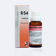 Dr. Reckeweg R54 Functional disturbances of the brain Drops 22ml