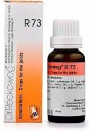 Dr. Reckeweg R73 Drops for the Joints 22ml